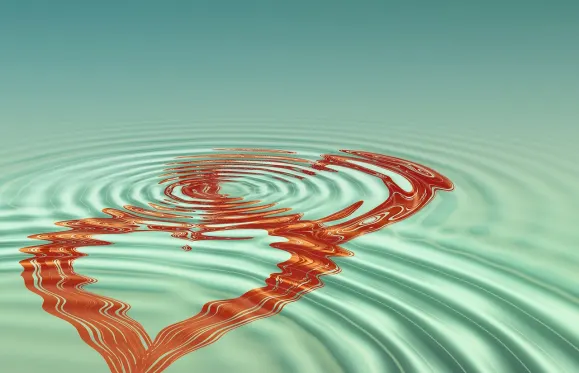 Winz Casino Stuðningur